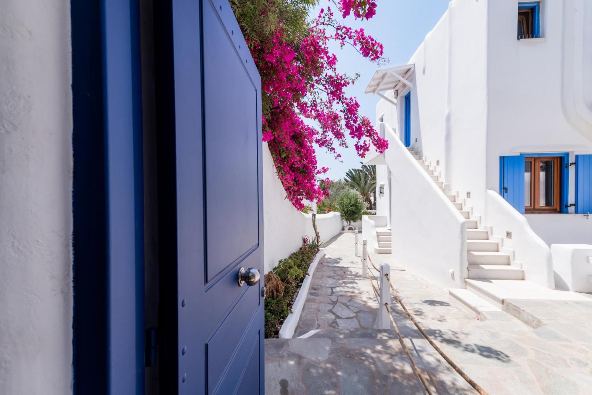 Olive Tree & Capari Mykonos Town Homes & Apartments With Pool! Buitenkant foto